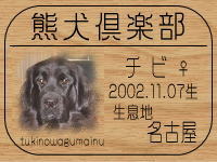 ���R�}�}����̂g�o�ւf�n�I